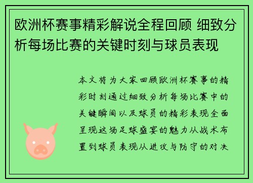 欧洲杯赛事精彩解说全程回顾 细致分析每场比赛的关键时刻与球员表现 欧洲杯赛事精彩解说全程回顾 细致分析每场比赛的关键时刻与球员表现